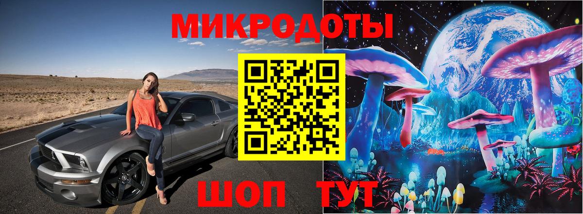 Псилоцибиновые грибы Cubensis  Вход с VPN  Дивногорск 